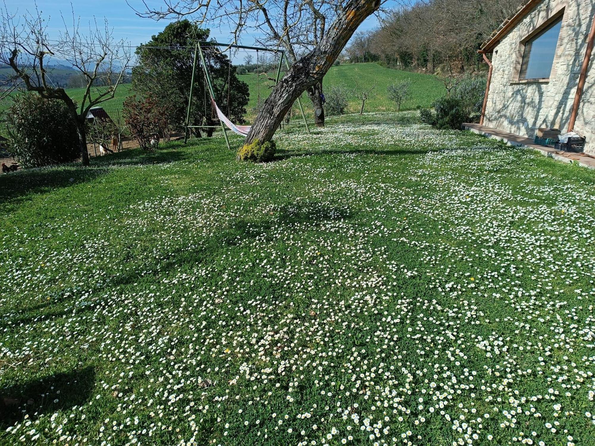 La Piccola Fattoria Villa Todi Exterior foto